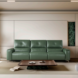 Qinglan sofa  S-505
